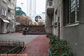 IMG_ (10451)